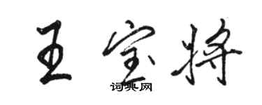 骆恒光王宝将行书个性签名怎么写