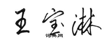 骆恒光王宝淋行书个性签名怎么写