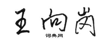 骆恒光王向岗行书个性签名怎么写