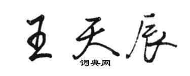 骆恒光王天辰行书个性签名怎么写