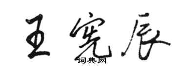 骆恒光王宪辰行书个性签名怎么写