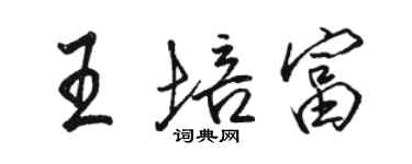 骆恒光王培富行书个性签名怎么写