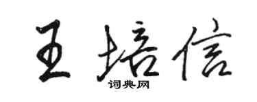 骆恒光王培信行书个性签名怎么写
