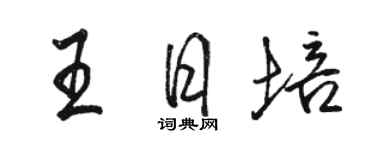 骆恒光王日培行书个性签名怎么写