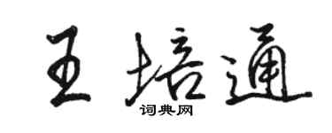 骆恒光王培通行书个性签名怎么写