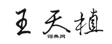 骆恒光王天植行书个性签名怎么写