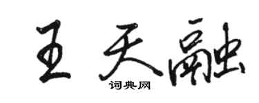 骆恒光王天融行书个性签名怎么写