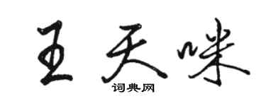骆恒光王天咪行书个性签名怎么写