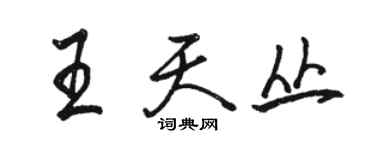 骆恒光王天丛行书个性签名怎么写