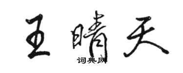 骆恒光王晴天行书个性签名怎么写