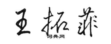 骆恒光王拓菲行书个性签名怎么写