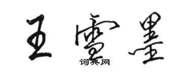 骆恒光王雪墨行书个性签名怎么写