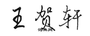 骆恒光王贺轩行书个性签名怎么写