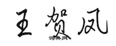 骆恒光王贺凤行书个性签名怎么写