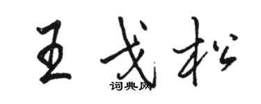 骆恒光王戈松行书个性签名怎么写