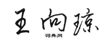 骆恒光王向琼行书个性签名怎么写