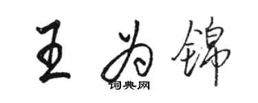 骆恒光王为锦行书个性签名怎么写