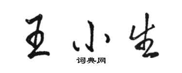骆恒光王小生行书个性签名怎么写