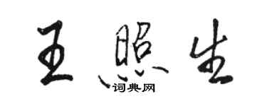 骆恒光王照生行书个性签名怎么写