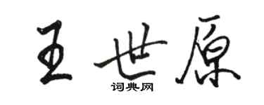 骆恒光王世原行书个性签名怎么写