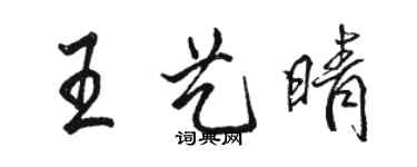 骆恒光王艺晴行书个性签名怎么写