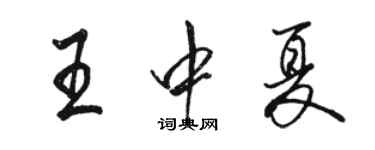 骆恒光王中夏行书个性签名怎么写