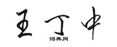 骆恒光王丁中行书个性签名怎么写
