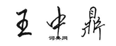 骆恒光王中鼎行书个性签名怎么写
