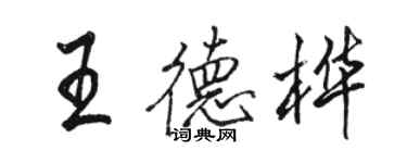 骆恒光王德桦行书个性签名怎么写