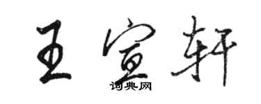 骆恒光王宣轩行书个性签名怎么写