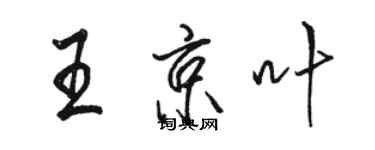 骆恒光王京叶行书个性签名怎么写