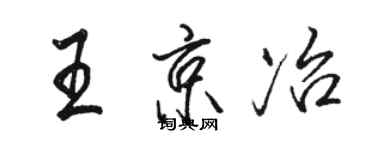骆恒光王京冶行书个性签名怎么写