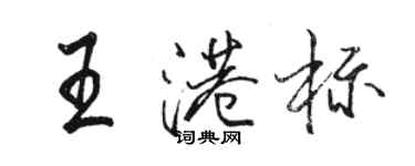 骆恒光王港标行书个性签名怎么写