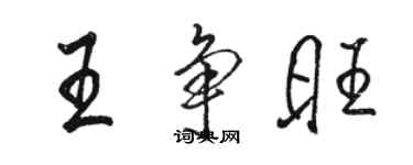 骆恒光王争旺行书个性签名怎么写