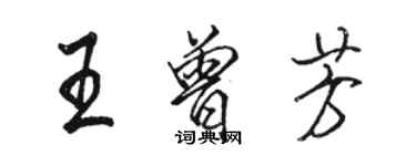 骆恒光王曾芳行书个性签名怎么写