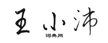 骆恒光王小沛行书个性签名怎么写