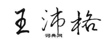 骆恒光王沛格行书个性签名怎么写