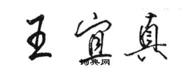 骆恒光王宜真行书个性签名怎么写