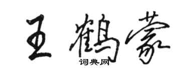 骆恒光王鹤蒙行书个性签名怎么写