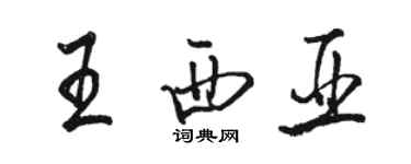 骆恒光王西亚行书个性签名怎么写