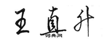 骆恒光王直升行书个性签名怎么写