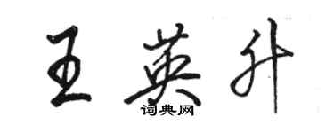 骆恒光王英升行书个性签名怎么写