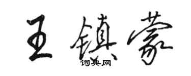 骆恒光王镇蒙行书个性签名怎么写