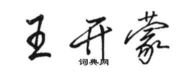 骆恒光王开蒙行书个性签名怎么写