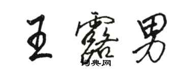 骆恒光王露男行书个性签名怎么写
