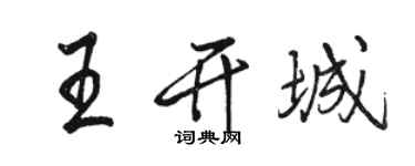 骆恒光王开城行书个性签名怎么写