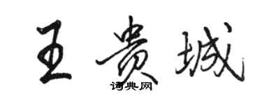 骆恒光王贵城行书个性签名怎么写