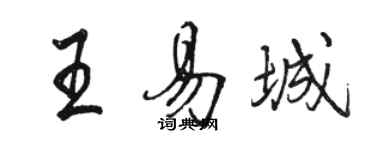 骆恒光王易城行书个性签名怎么写