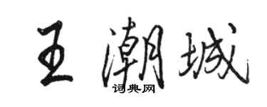 骆恒光王潮城行书个性签名怎么写
