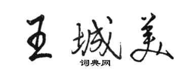 骆恒光王城美行书个性签名怎么写